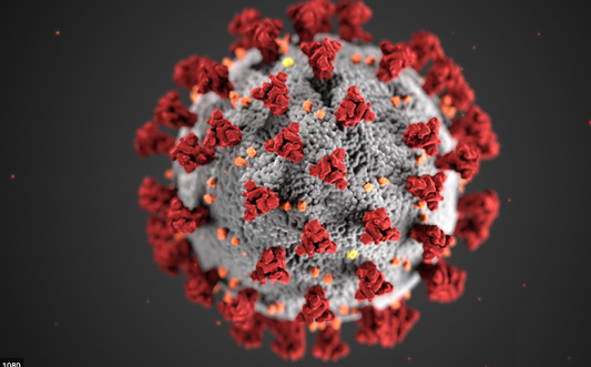 Drummers with Coronavirus