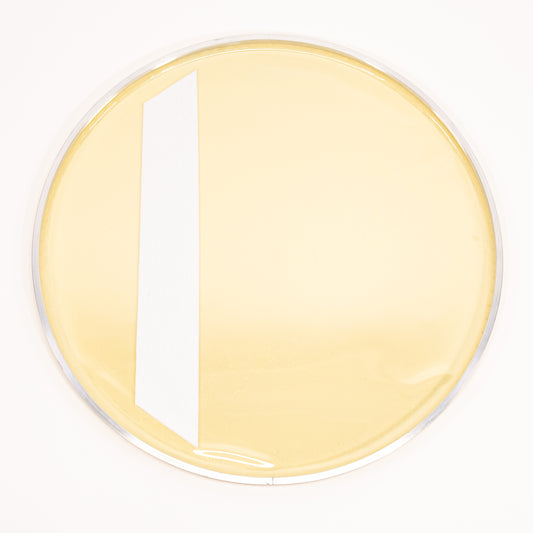 Aquarian Modern Vintage Medium Bass Drum Head (with Felt)- MOTC-K