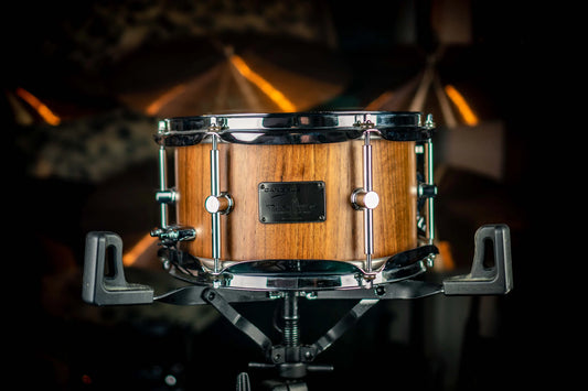 Modèle Signature Canopus Harvey Mason (LOCATION)