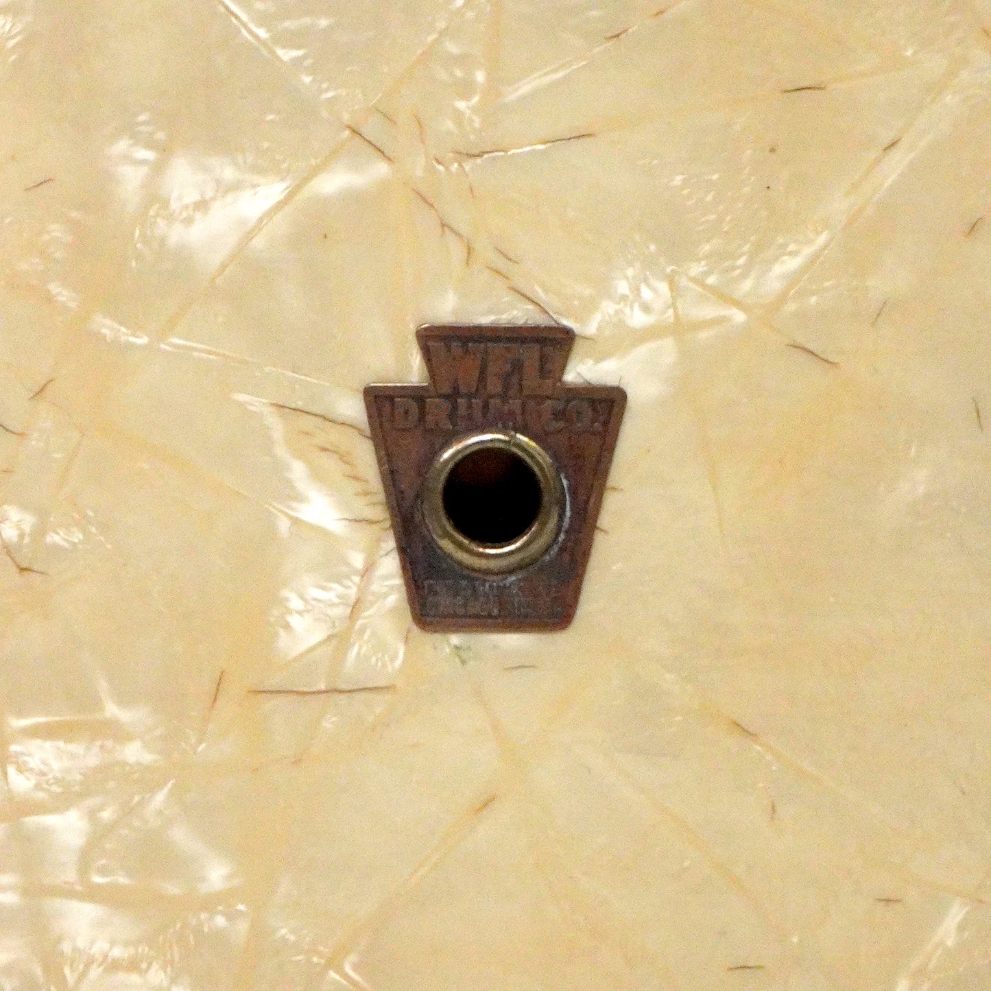 WFL 14” x 6.5” Festival Snare Drum in White Marine Pearl