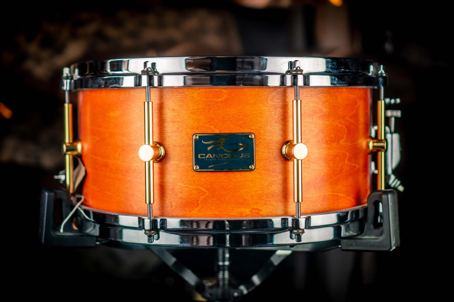 Canopus Maple MO-1465 (Oil Finished Maple) (HIRE)