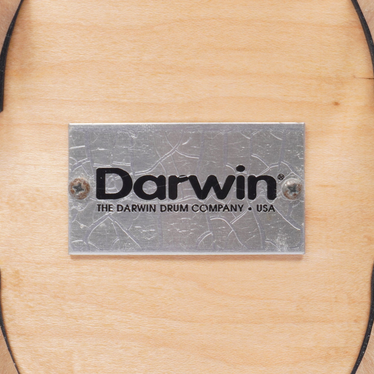 DARWIN 14"x 8" MAPLE SNARE DRUM