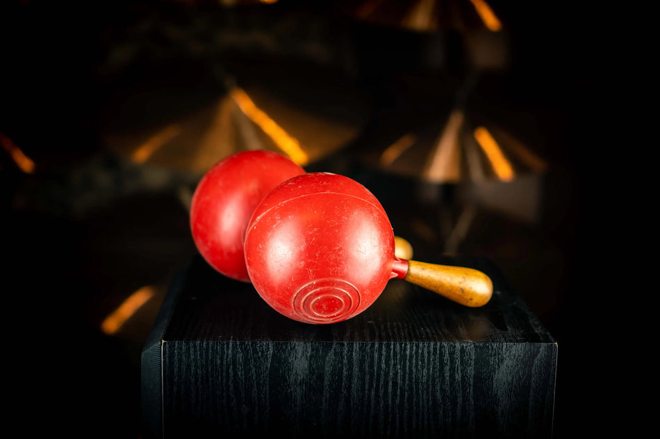 Professionelle Maracas (MIETE) 