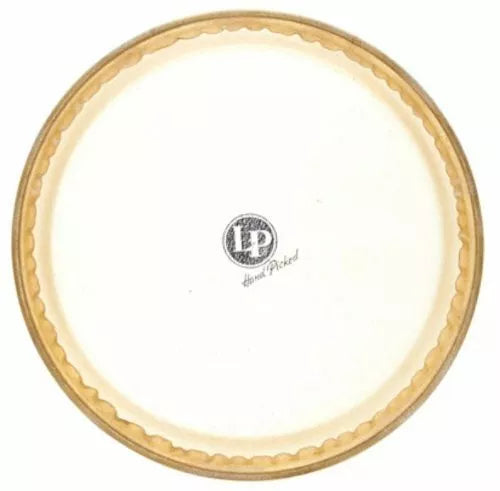 LP Galaxy 11" conga head