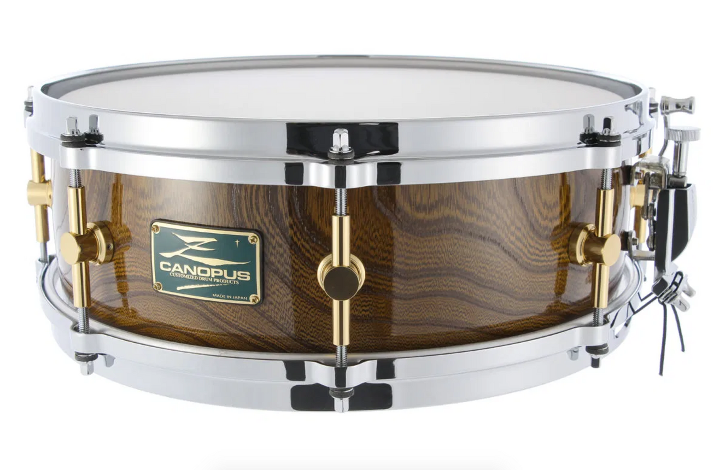 Canopus Zelkova Snare Drum